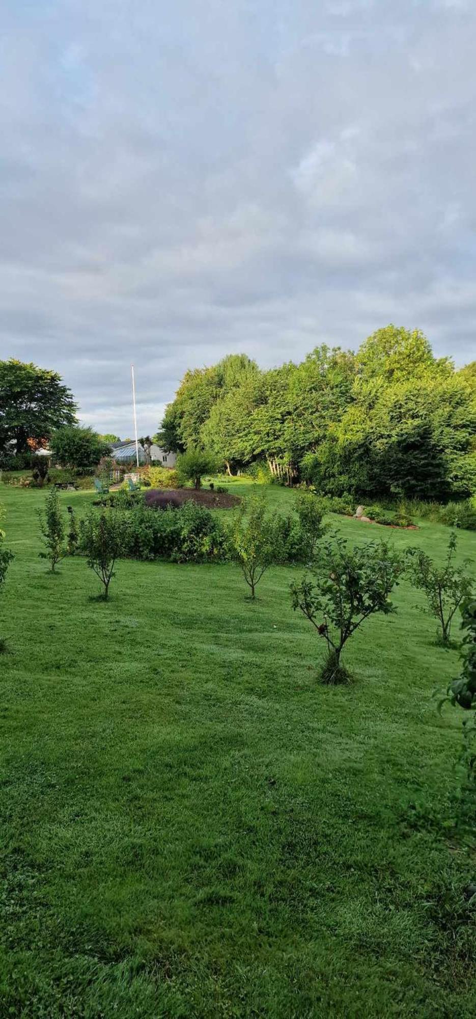 Hos Molsgaarden Bed & Breakfast Knebel Eksteriør bilde