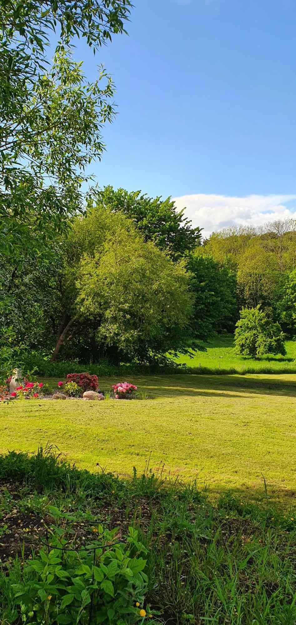 Hos Molsgaarden Bed & Breakfast Knebel Eksteriør bilde
