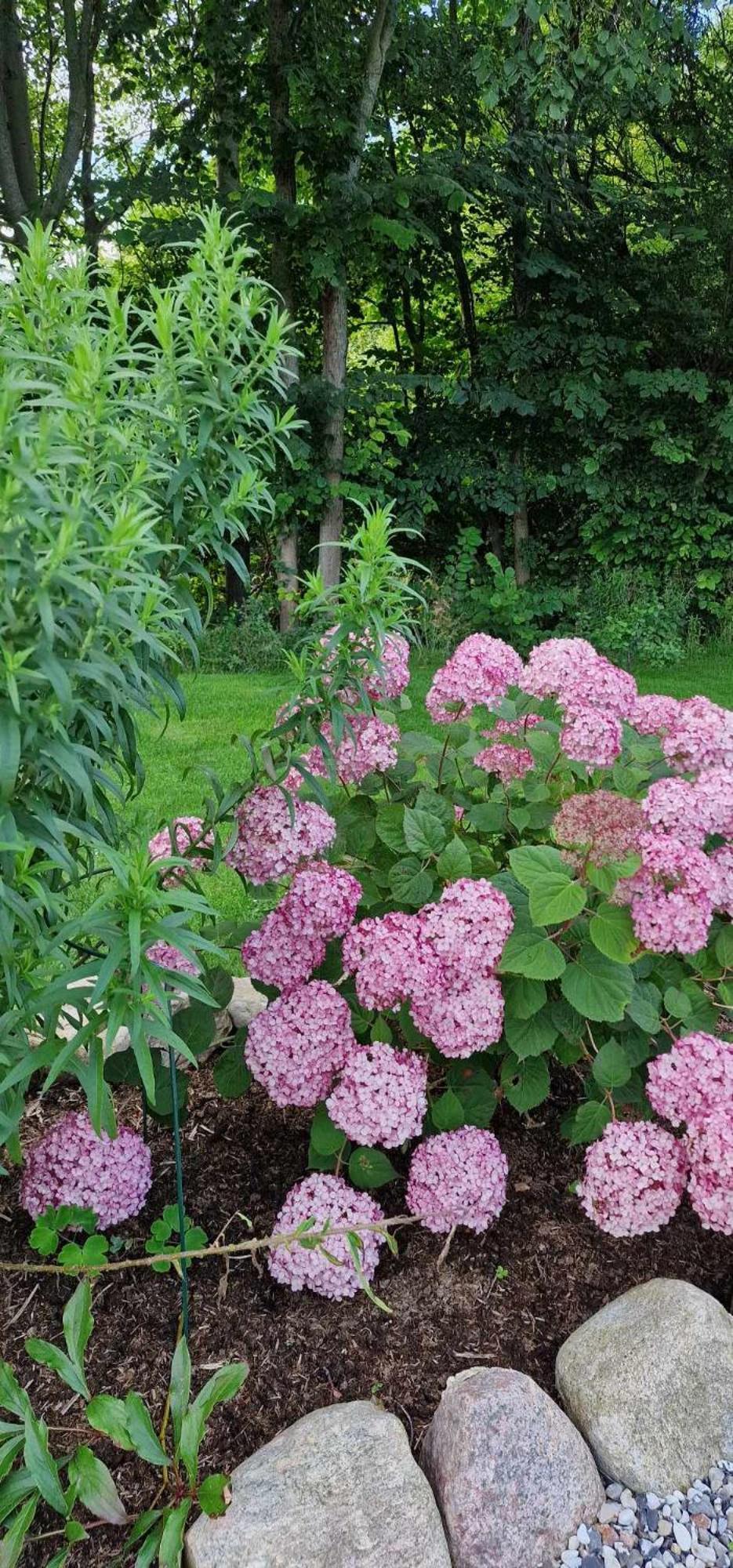 Hos Molsgaarden Bed & Breakfast Knebel Eksteriør bilde